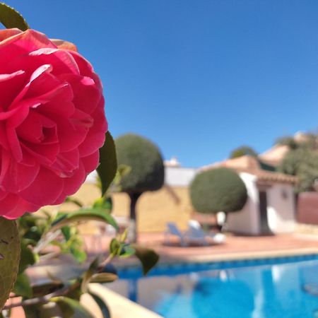 Casa Maleda Villa Hornachuelos Exteriör bild