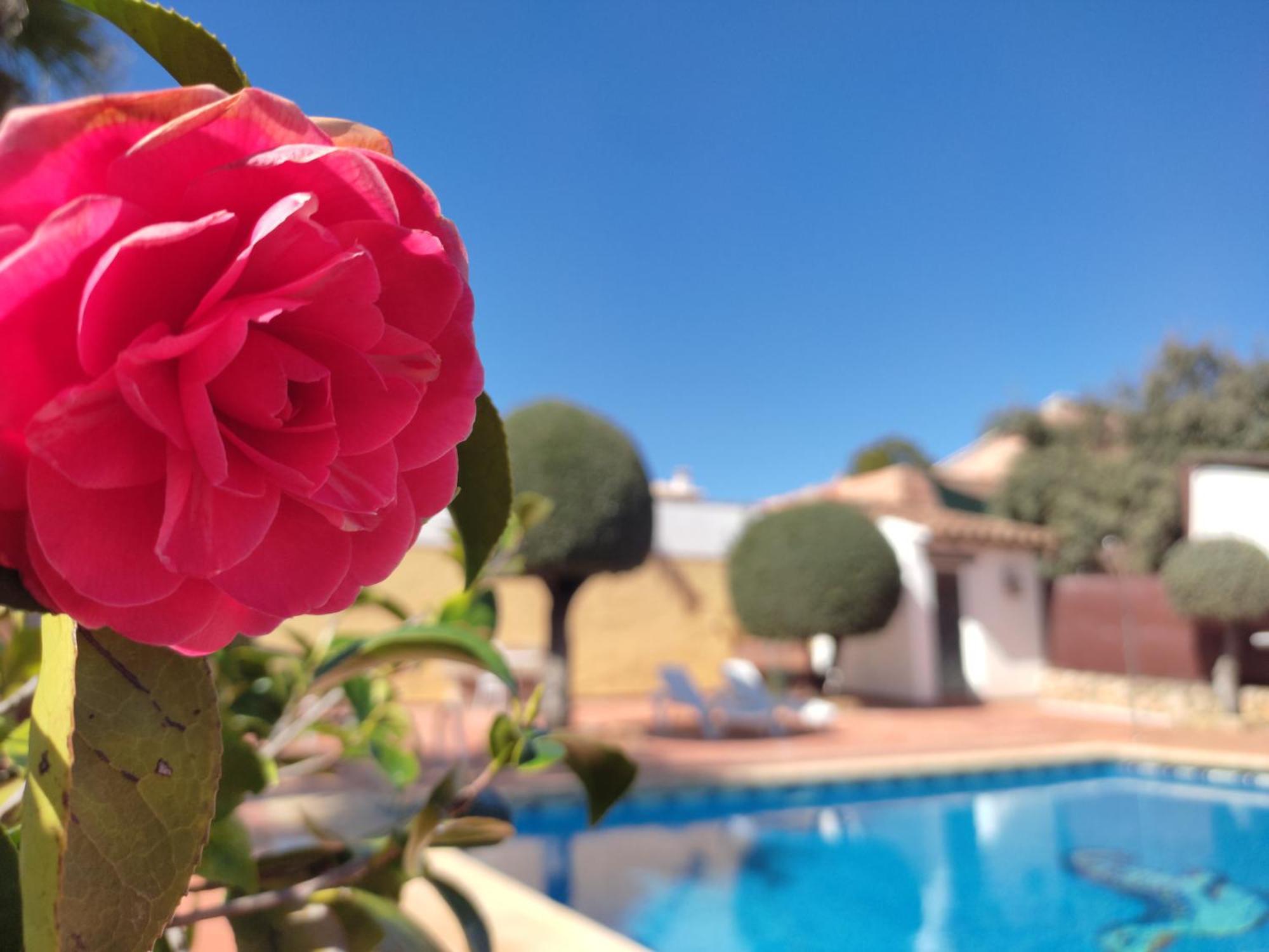 Casa Maleda Villa Hornachuelos Exteriör bild